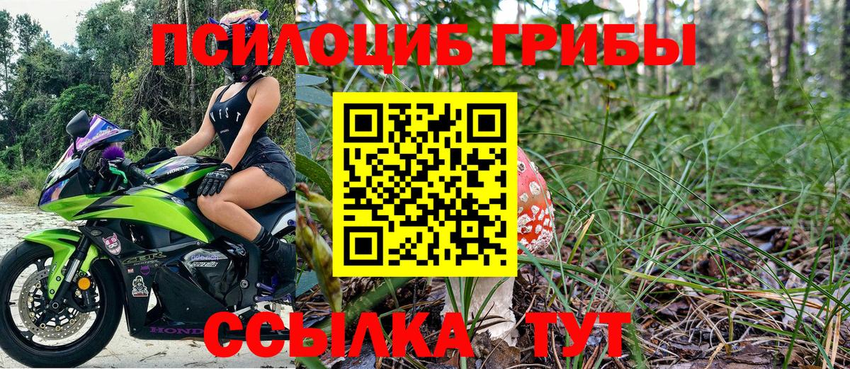 Фролово  Галлюциногенные грибы GOLDEN TEACHER  Галлюциногенные грибы Psilocybe  Вход с VPN 