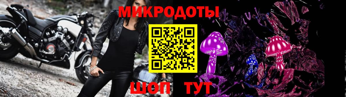 Псилоцибиновые грибы Psilocybe Фролово